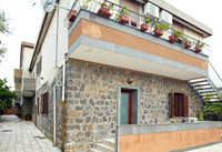 TULIPANI:img 10 di 10