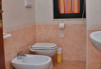 GIRASOLE:img 5 di 10