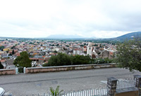PAPAVERO:img 8 di 10