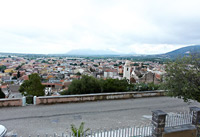 CICLAMINO:img 4 di 10